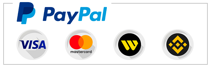 Medios-de-Pago-Visa-MasterCard-PayPal-Western-Union-Binance - Gazu-Technology