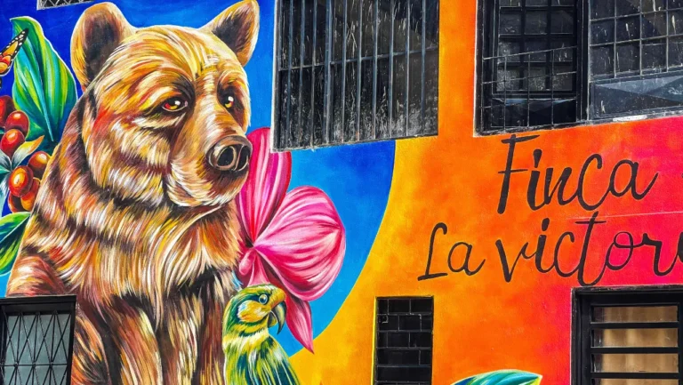 Tiago Castillo: El Muralista que Transforma Ibagué con Arte