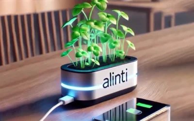 ALINTI: Innovación en Energía a Través de Fotosíntesis